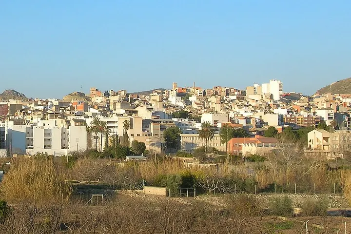 En primer plano, un campo de hierbas secas y arbustos, con una ciudad en el fondo