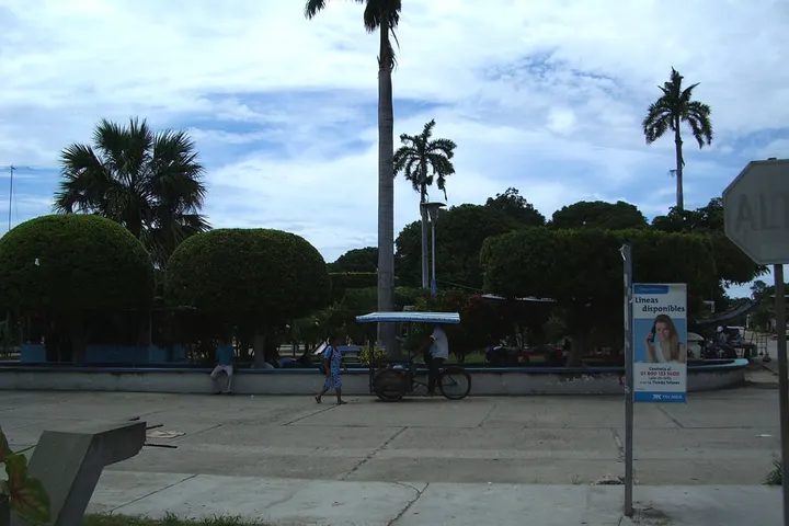 En primer plano, un hombre con un carruaje de triciclo con una sombrilla azul, en una plaza con palmeras