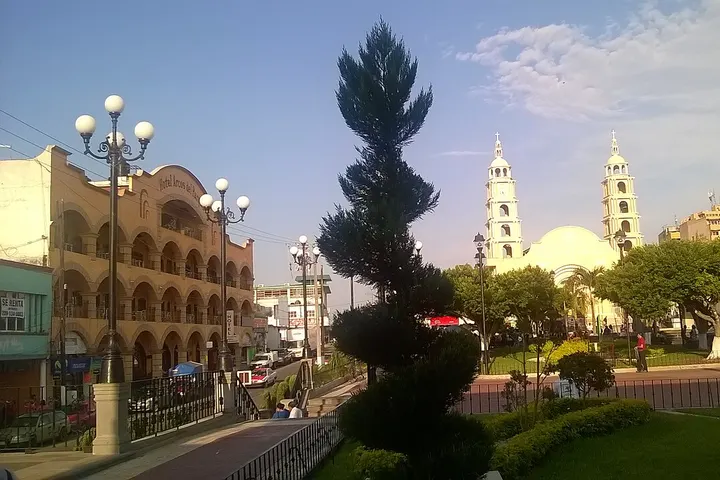 En primer plano, un árbol de gran tamaño se eleva en el centro de la imagen