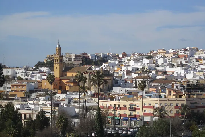 En primer plano, se ven palmeras y edificios de color blanco y amarillo