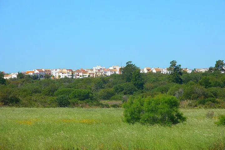 Una casa blanca con tejado rojo en una colina verde