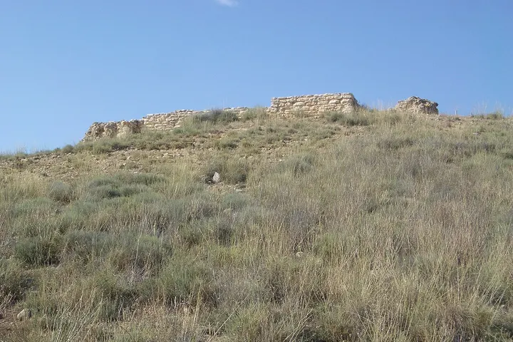 Vista de Almacelles