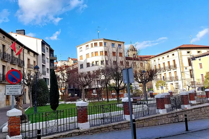 Vista de Altsasu