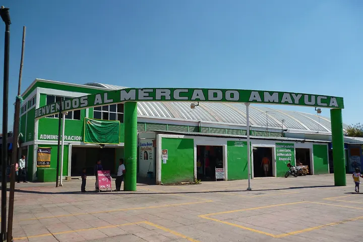 Vista de Amayuca