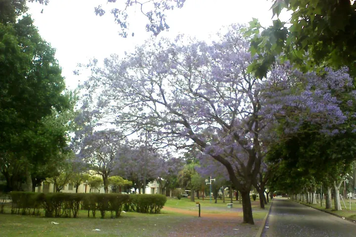 Vista de Arroyo Seco