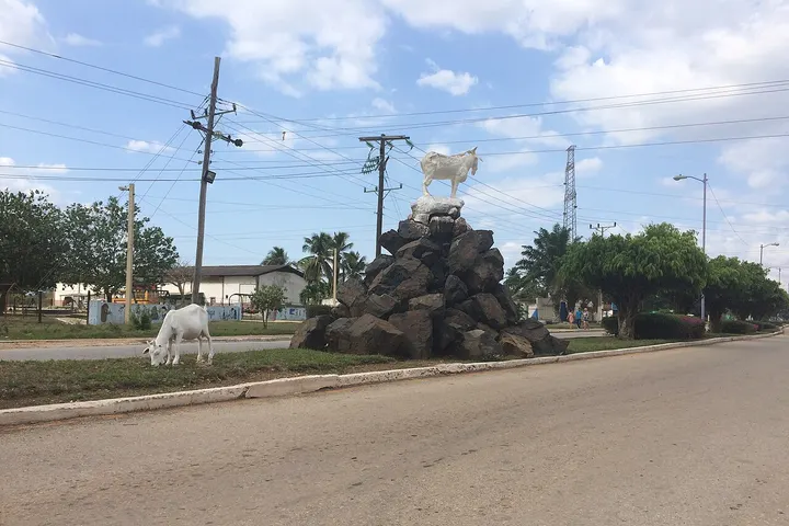 En primer plano, una estatua de un cabrito blanco sobre una montaña de piedras negras