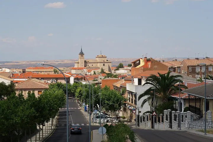 En primer plano se ve una calle con árboles y casas de dos pisos con tejados de terracota