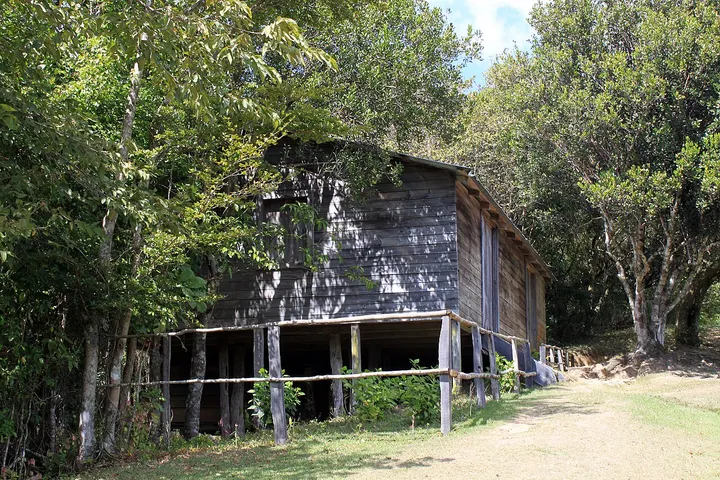 En primer plano, una pequeña casa de madera con un jardín rodeado de árboles