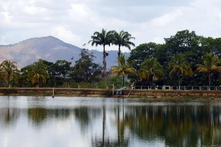 Un lago rodeado de palmeras y una montaña en el fondo