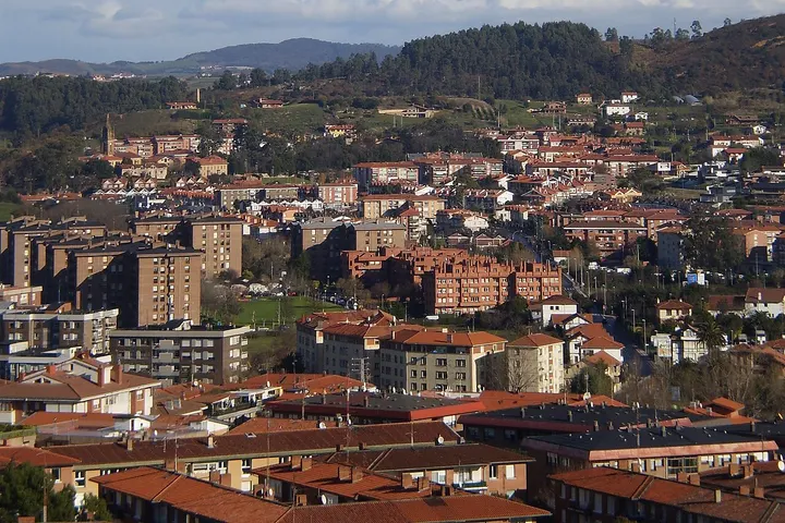 En primer plano, se ven edificios de viviendas con tejados rojos