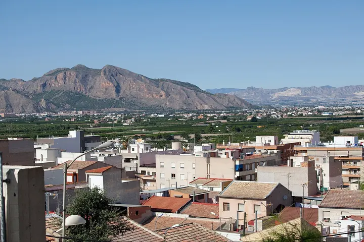 Vista de Bigastro