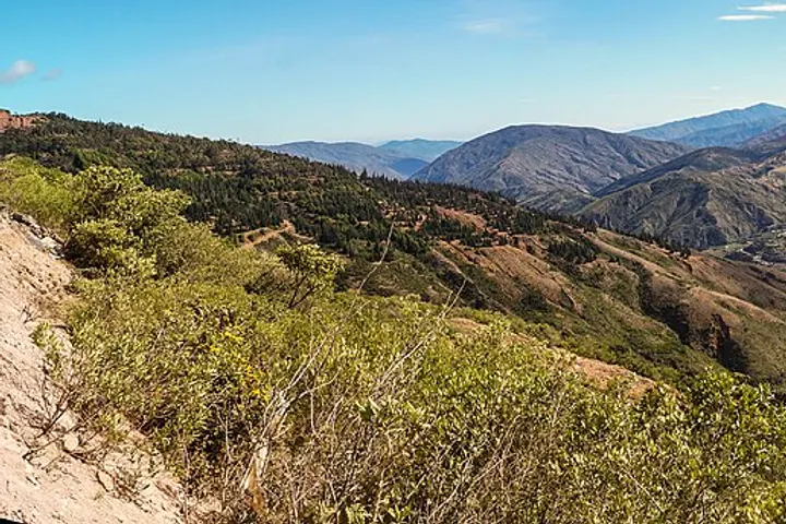 En primer plano, una zona de arbustos, con un paisaje de montañas en el fondo