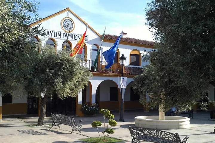 Esta es la fachada de un ayuntamiento con un patio y un parque