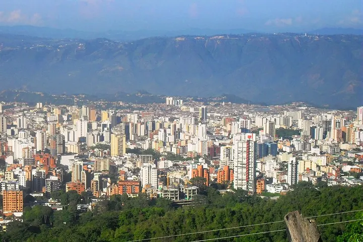 En primer plano, un árbol sin ramas, rodeado de un bosque, con una gran ciudad en el fondo