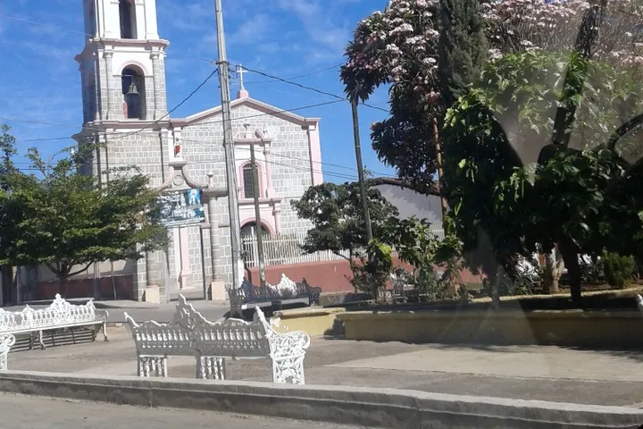 En primer plano, una plaza con bancos blancos y árboles en un día soleado