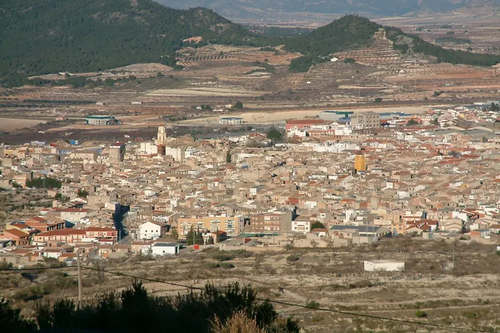 En primer plano, una gran torre de iglesia se eleva sobre el tejido urbano de una pequeña población rural