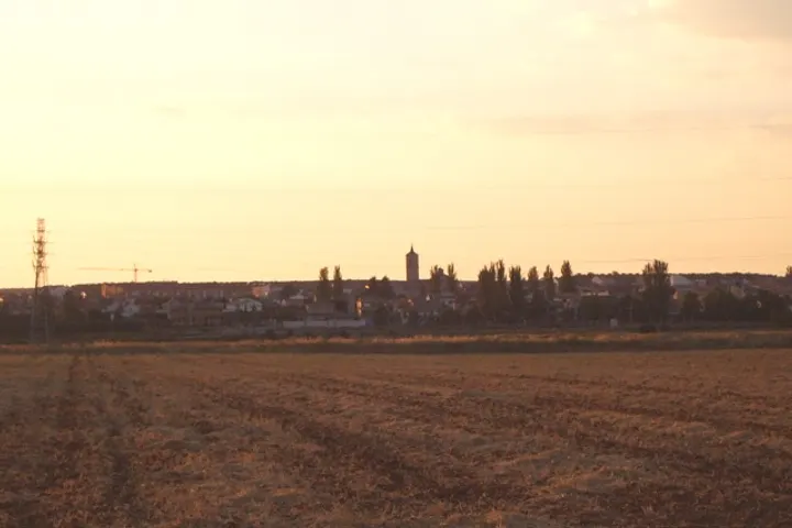 Campo de cultivo seco bajo un cielo atardecido