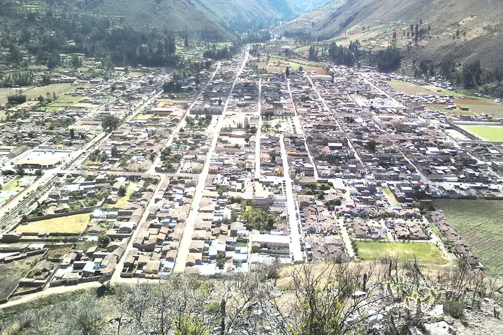 En primer plano, se ve un bosque quemado, con árboles sin hojas, y ramas carbonizadas