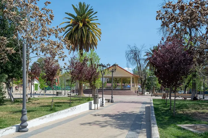 En primer plano, un paseo con árboles y un parque con un edificio de estilo colonial