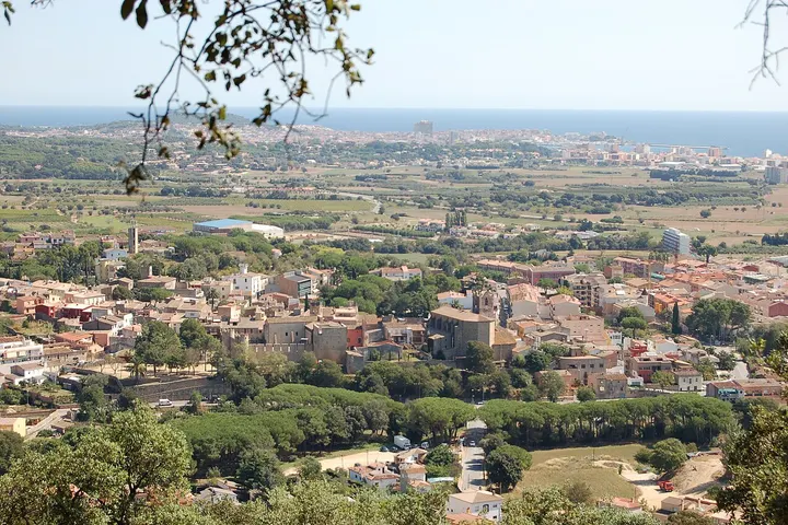 En primer plano, un parque con árboles de ciprés
