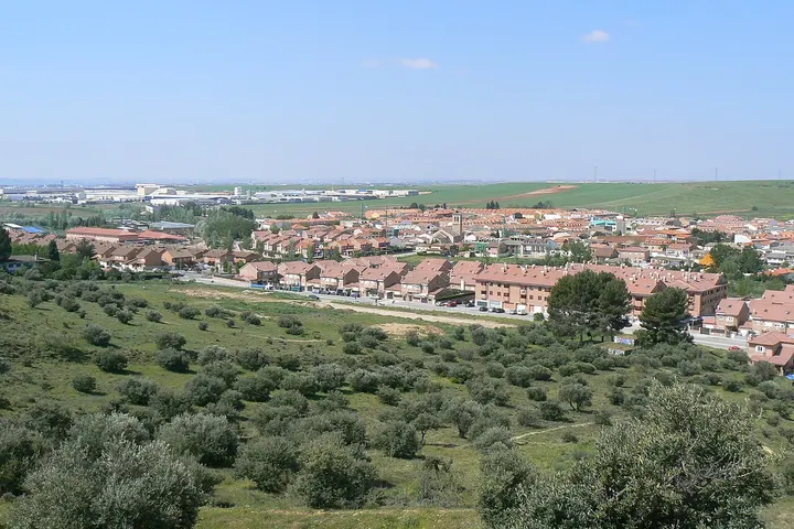En primer plano, se ven olivos, y más allá, una urbanización de casas con tejados rojos