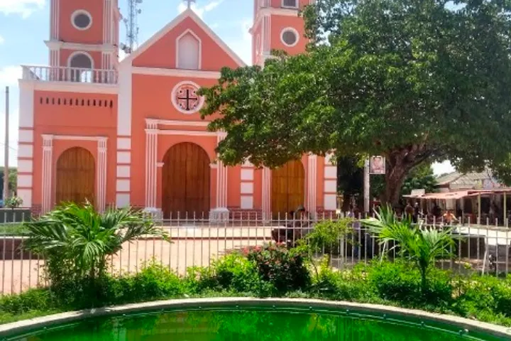 En primer plano, una fuente circular rodeada de plantas verdes