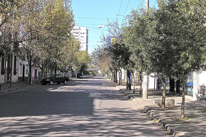 En primer plano, un coche negro estacionado en el borde de una calle arbolada