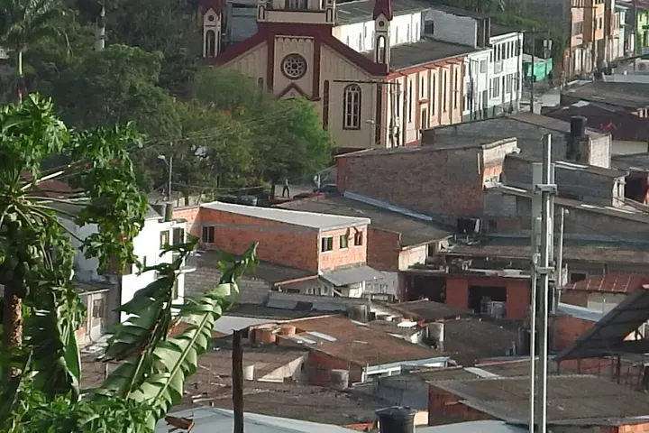 En primer plano, se aprecia un árbol con hojas grandes y verdes