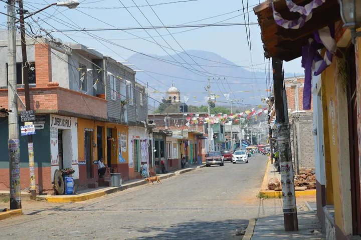 En primer plano, un perro camina por la calle, rodeado de edificios con colores brillantes y un cielo azul