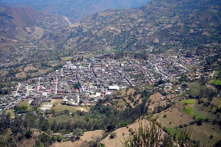 En primer plano, se ve un campo con una planta con flores amarillas
