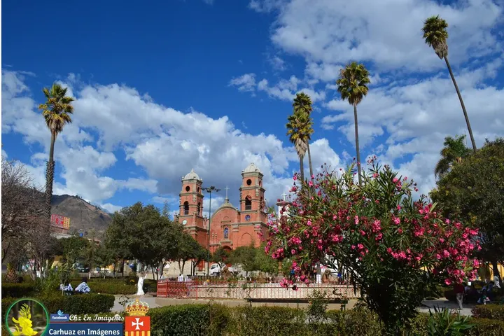 En primer plano, una hermosa florada de árboles de flores rosas