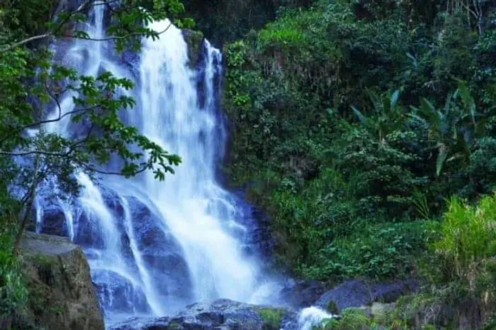 En primer plano, un hermoso y caudaloso salto de agua en medio de una exuberante vegetación