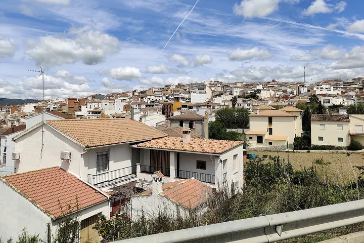 En primer plano, un par de casas con tejados de terracota