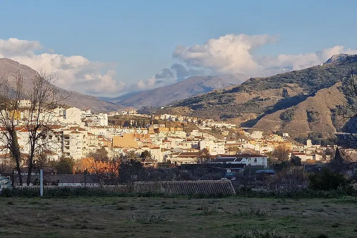En primer plano, una granja de cerdos