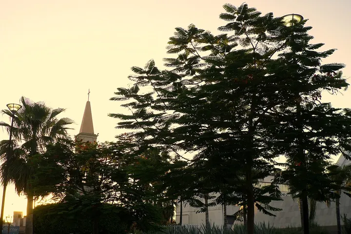 Vista de Ciudad Obregón