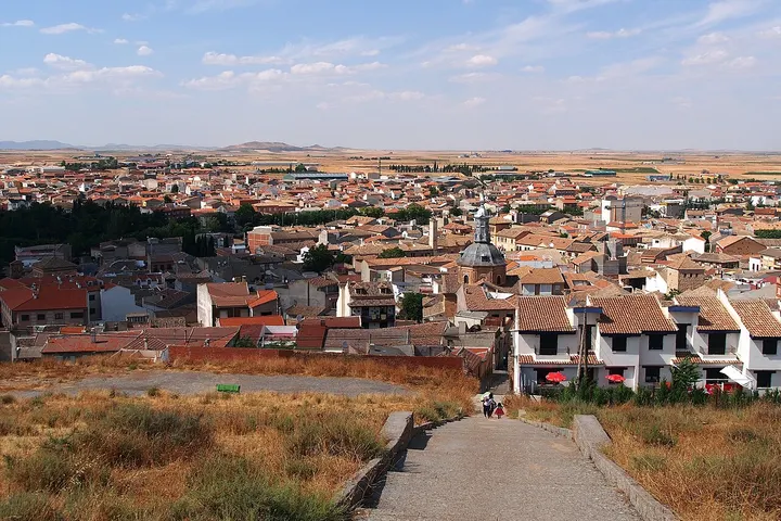 Vista de Consuegra