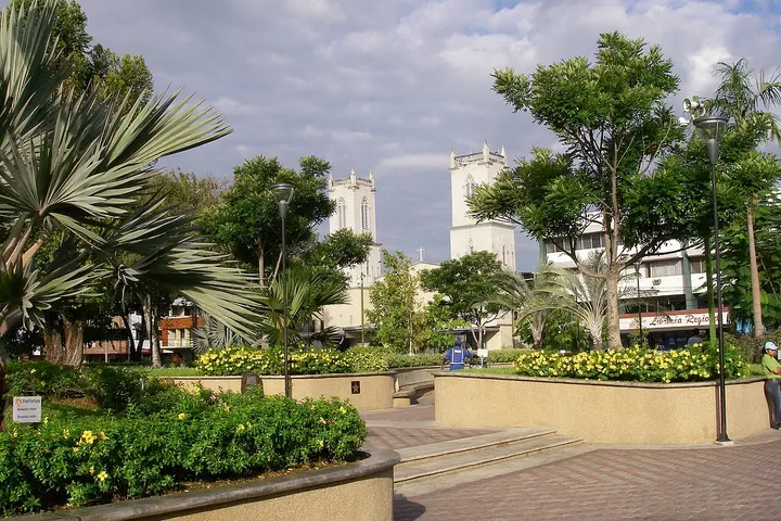 Vista de David