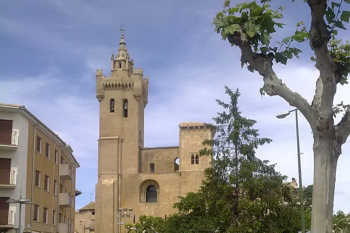 Vista de Ejea de los Caballeros