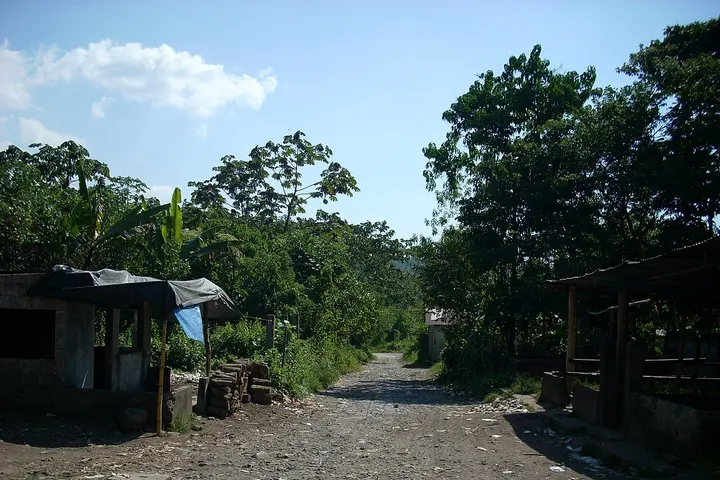 Vista de El Palmar