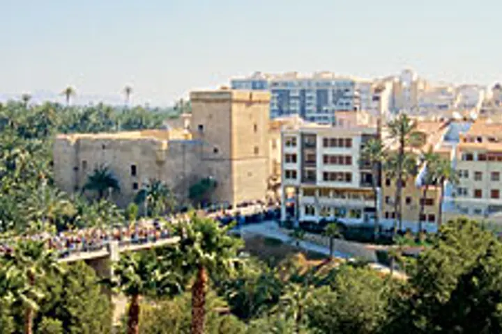 Vista de Elche