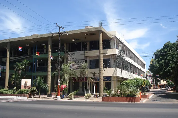 Vista de Fernando de la Mora