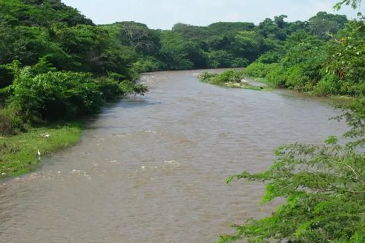Vista de Fonseca