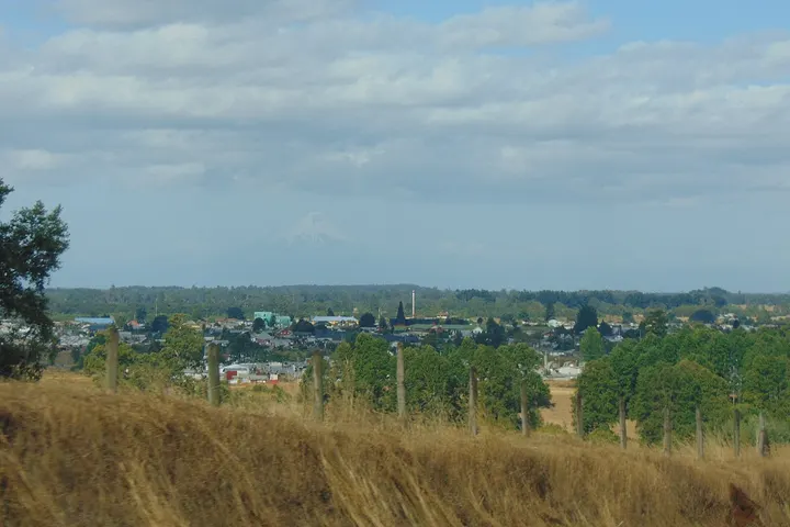 Vista de Fresia