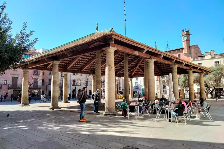 Vista de Granollers