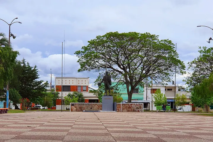 Vista de Guichón