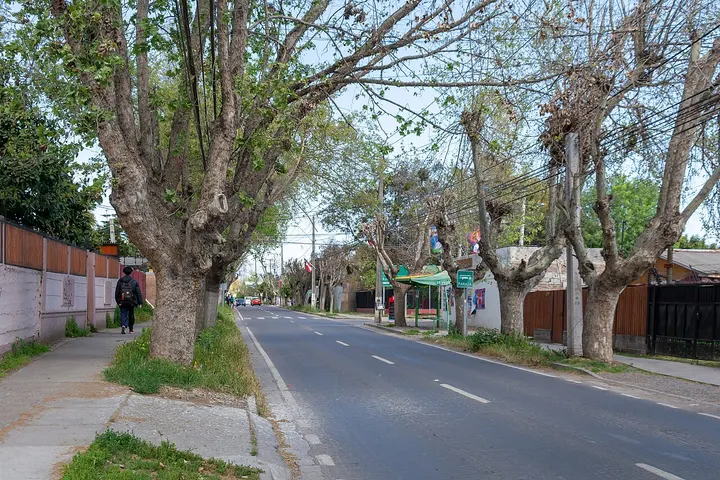 Vista de Hijuelas