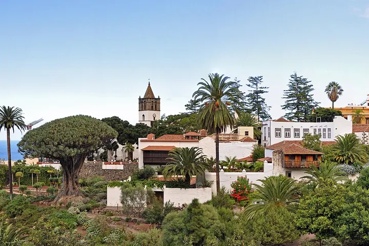 Vista de Icod de los Vinos