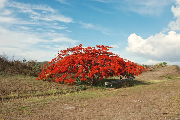 Vista de Juana Díaz