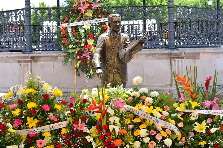 Vista de Juventino Rosas