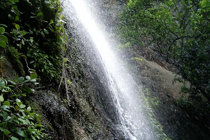 Vista de La Concepción